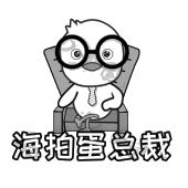 海拍蛋总裁