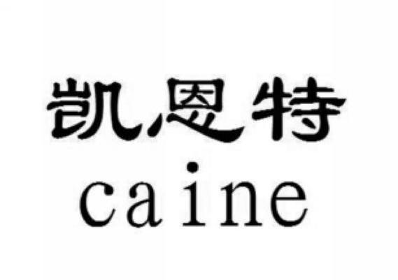 凯恩特 caine