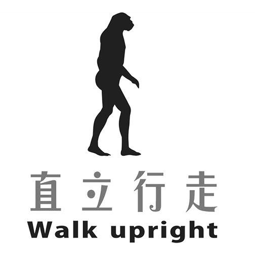 直立行走