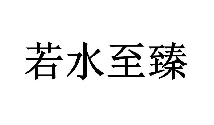 若水至臻_注册号33837348_商标注册查询 - 天眼查