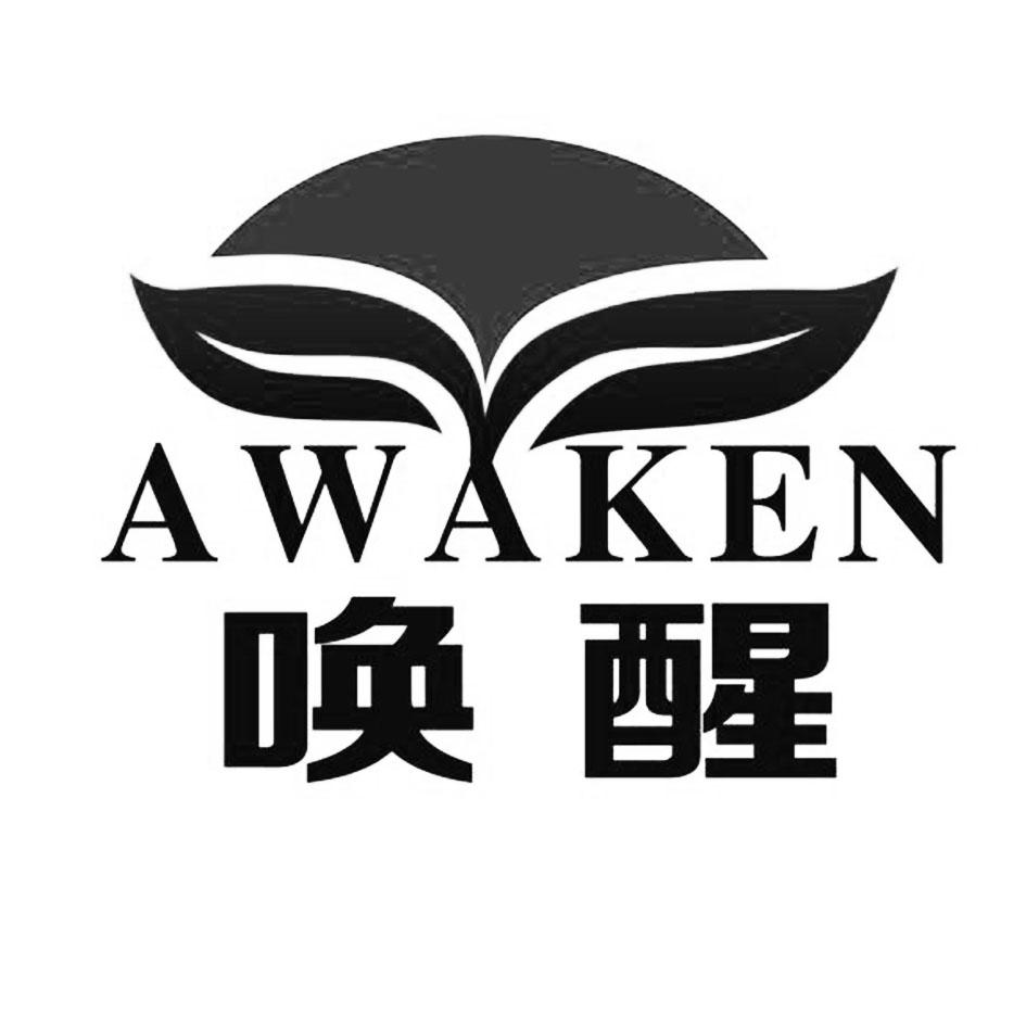 唤醒awaken_注册号32165607_商标注册查询 - 天眼查