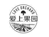 爱上果园  em>love /em> orchard