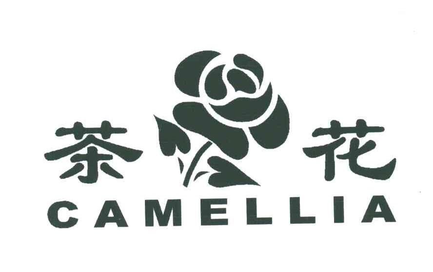 山茶花的样子logo图片