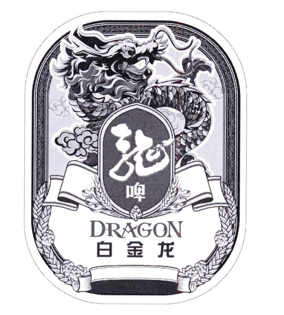 龙啤白金龙