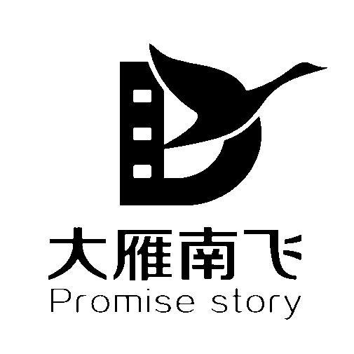 大雁南飞 promise story d