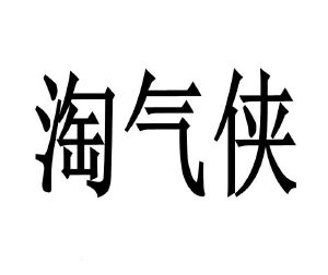 淘汽侠