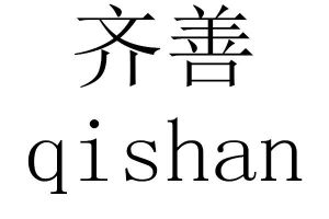 齐善标志设计图片