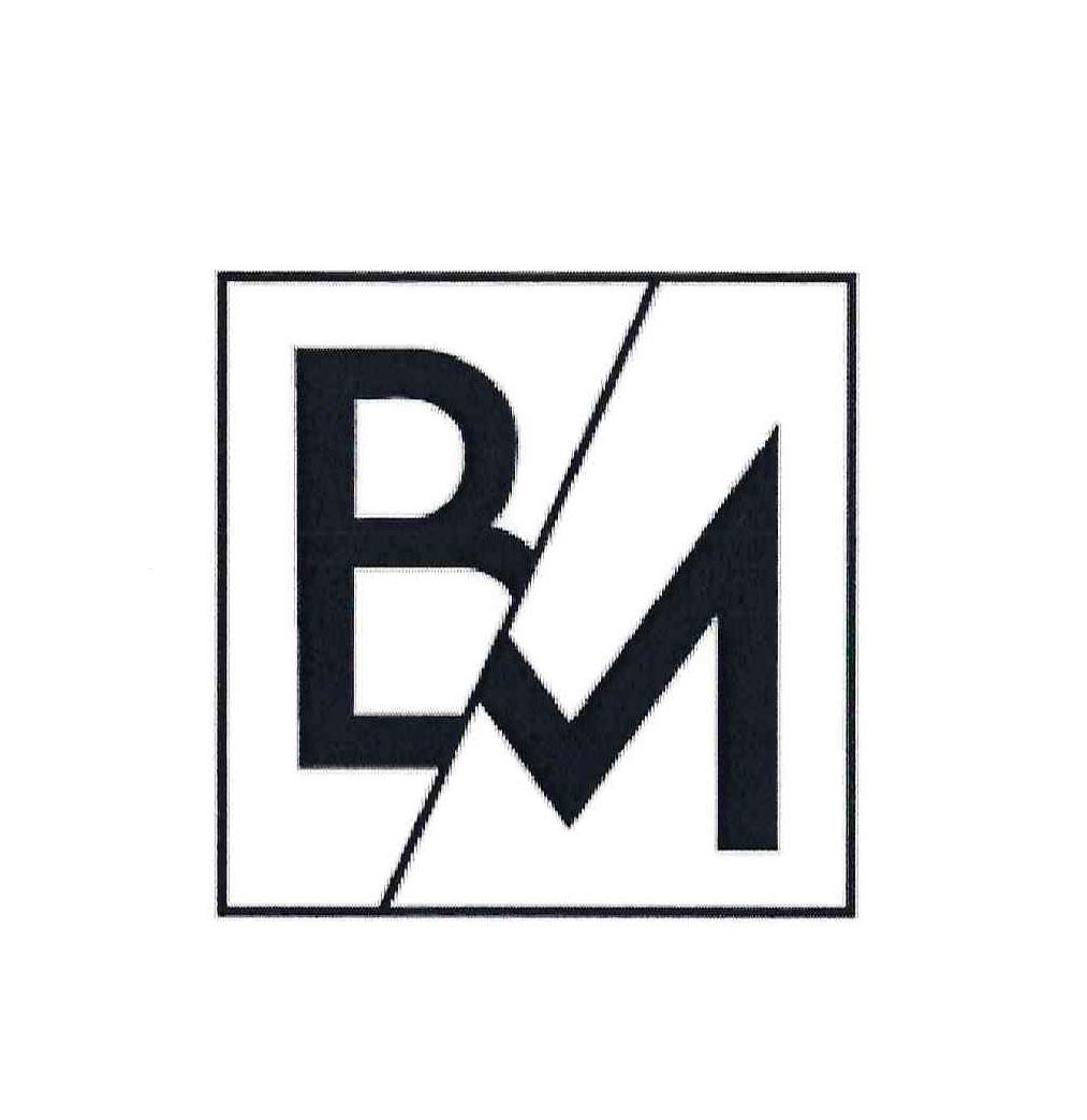 bm_注册号60729484_商标注册查询 - 天眼查