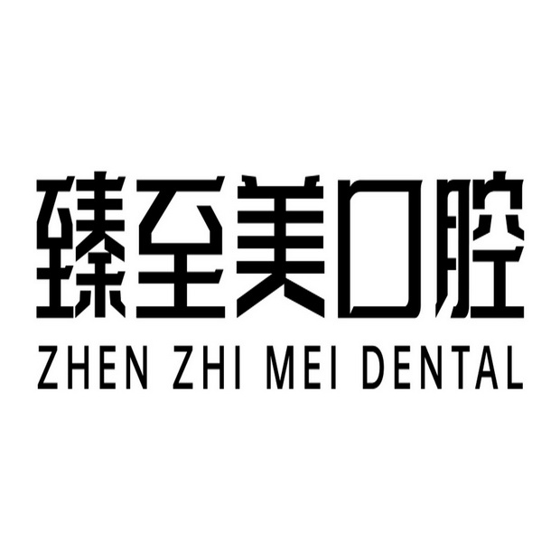 臻至美口腔 zhen zhi mei dental_注册号58377858_商标注册查询