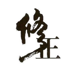 修正_注册号39199999_商标注册查询 - 天眼查
