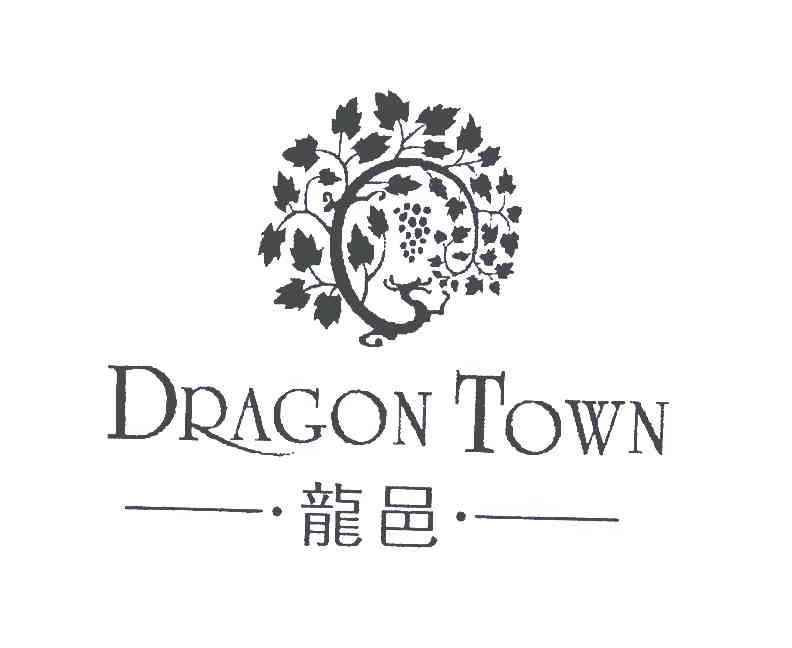 龙邑;dragontown