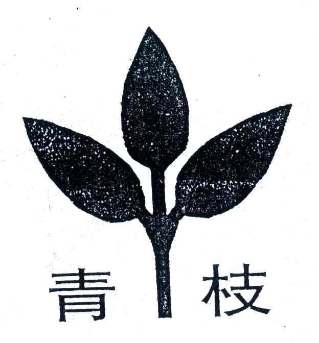 青枝,青枝垂,青枝骨折_大山谷图库
