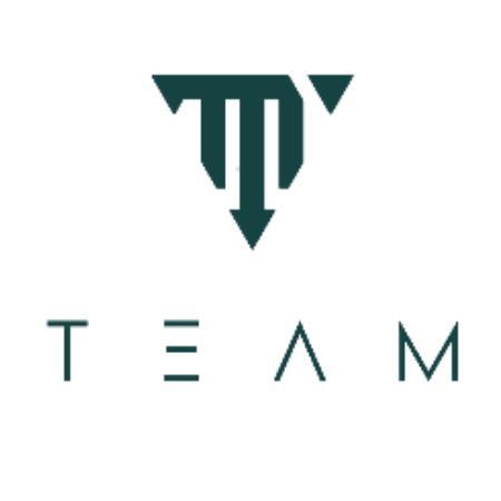 team_注册号6131305_商标注册查询 - 天眼查