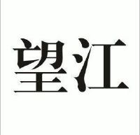 重庆望江工业有限公司_【信用信息_诉讼信息