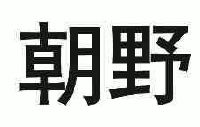 广东朝野科技有限公司_【信用信息_诉讼信息_财务信息