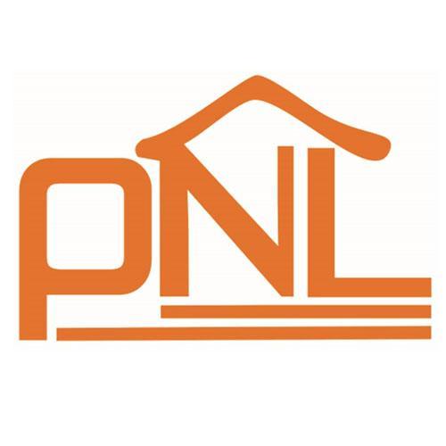 【PNL】_42-网站服务_近似商标_竞品