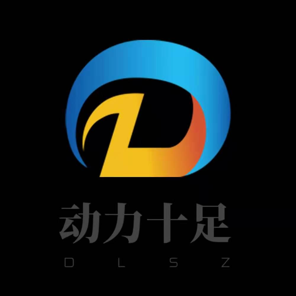 动力十足;dlsz