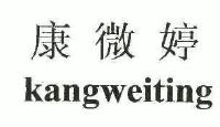 财务报表分析模板_针织内衣财务分析(3)