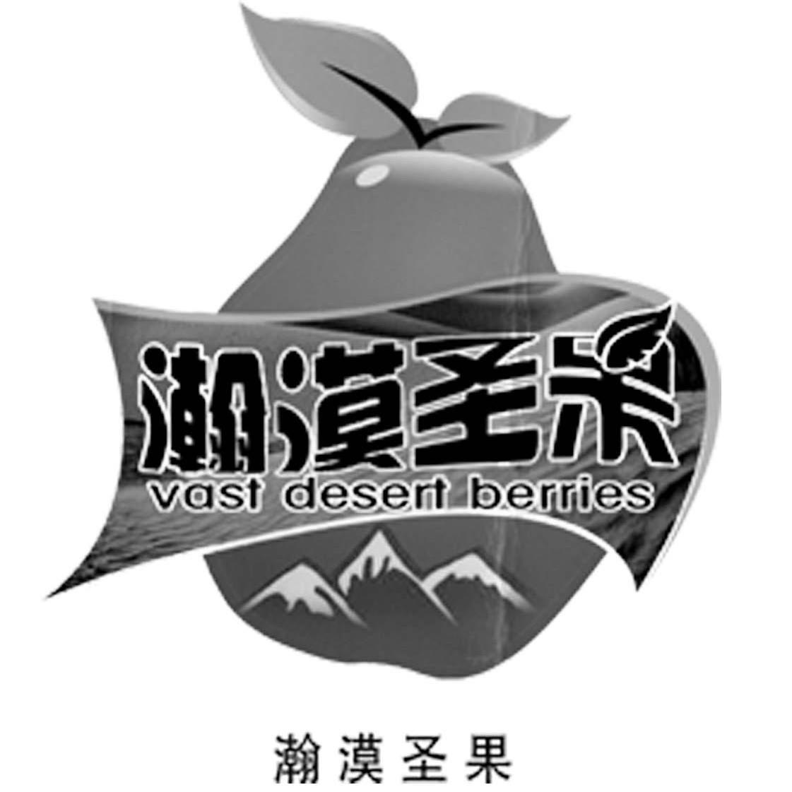 瀚漠聖果 vast desert berries