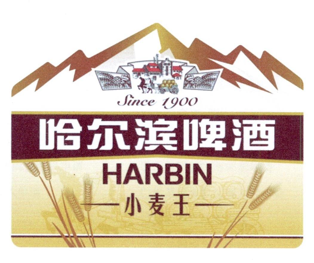 哈尔滨啤酒 小麦王 harbin since 1900