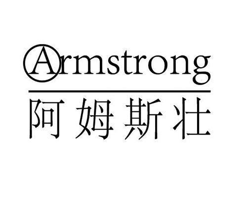 阿姆斯壮 armstrong_注册号40363380_商标注册查询 天眼查