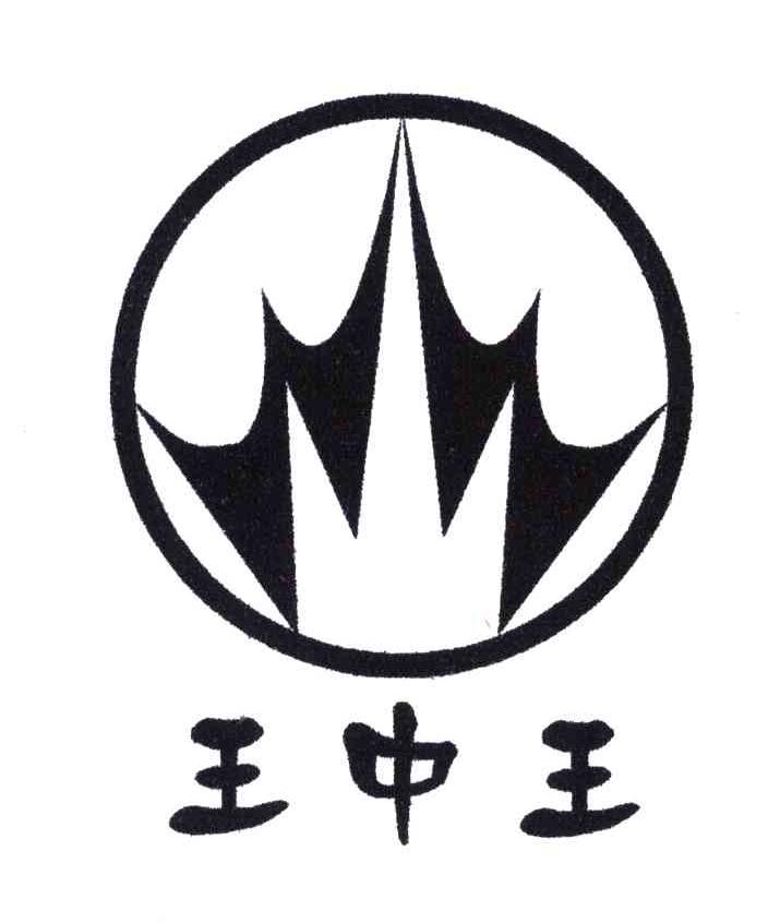 2 2003-06-06 王中王 3583401 21-厨房器皿洁具 商标注册申请---打印