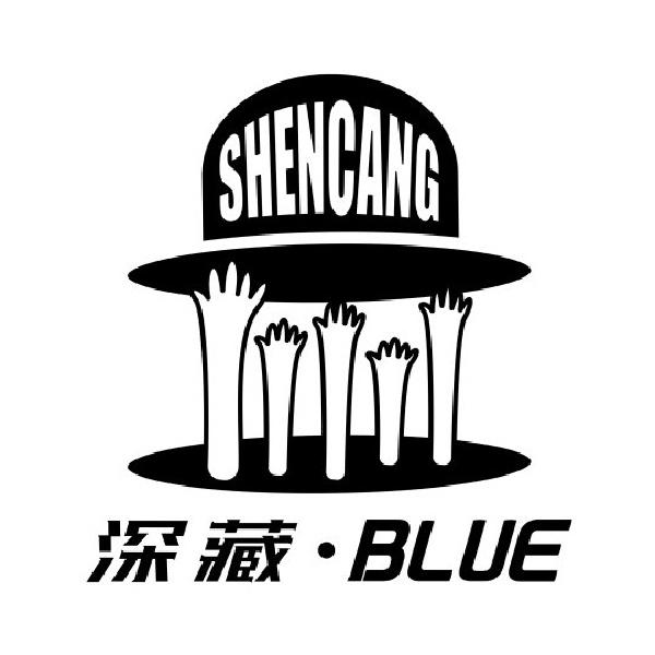 青岛深藏不露文化传播有限公司