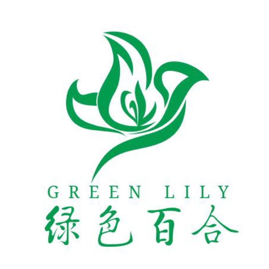 绿色百合;green lily