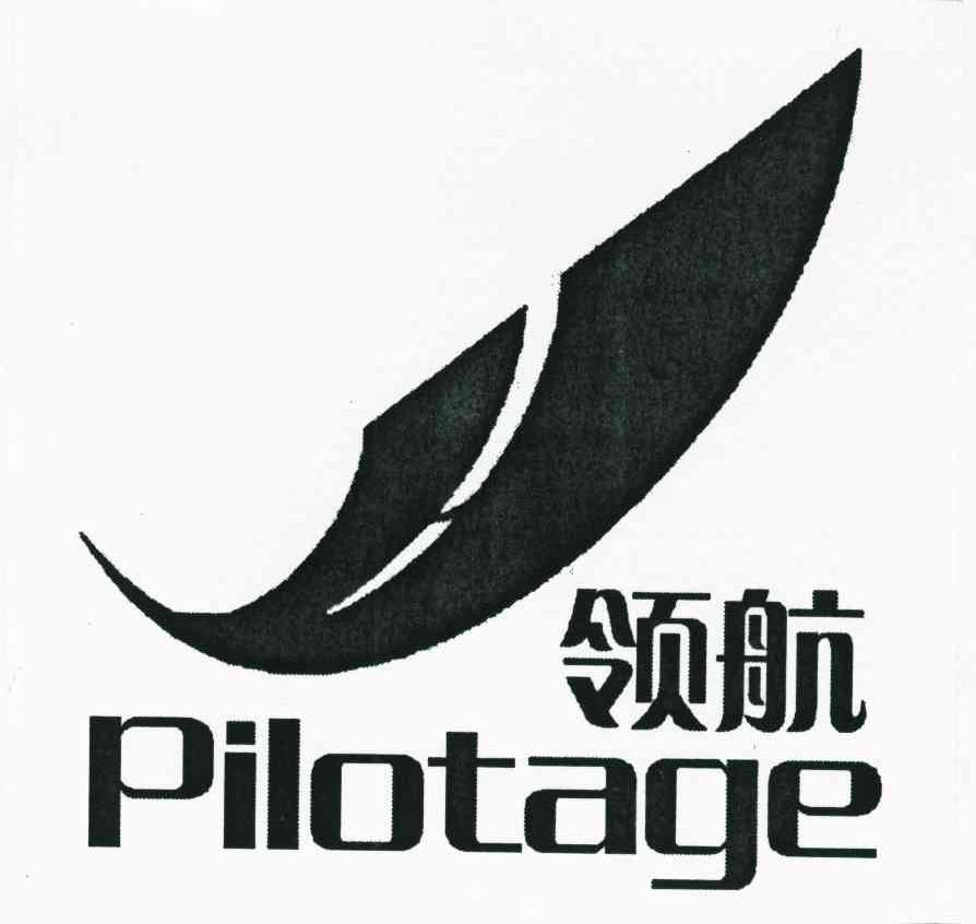 领航pilotage