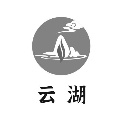 云湖logo图片