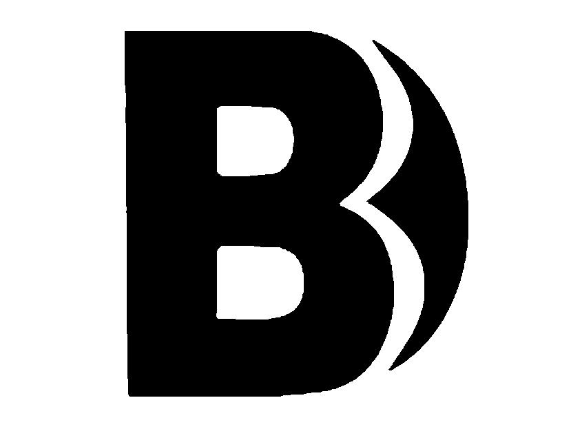 b_注册号13120677_商标注册查询 - 天眼查