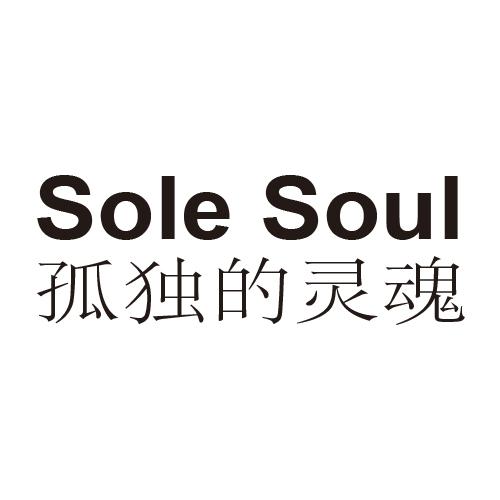 孤独的灵魂;sole soul