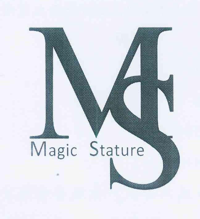 magicstaturems