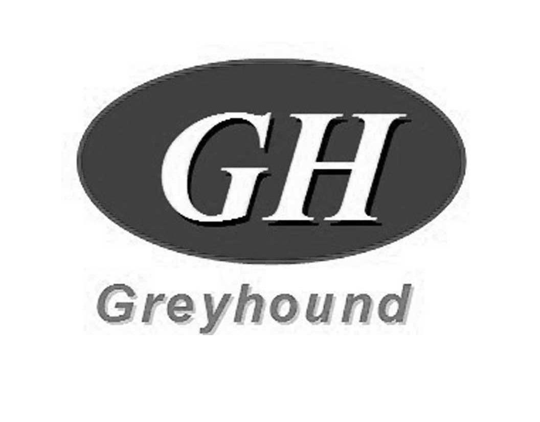 greyhound gh