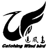 追风鸟catchingwindbird
