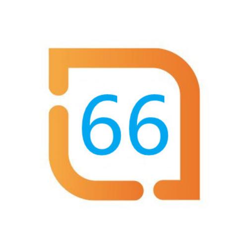 66