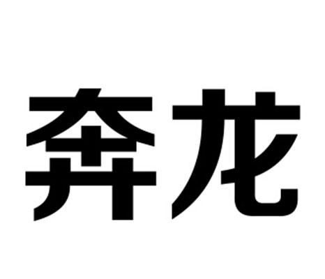 奔龙_注册号262239_商标注册查询 - 天眼查
