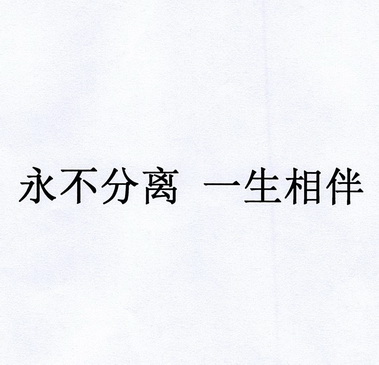 永不分离 一生相伴