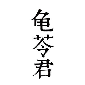 龟苓君